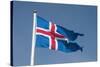 Iceland. South Region. Thingvellir. Icelandic Flag-Inger Hogstrom-Stretched Canvas