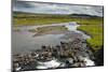 Iceland. South Region. Thingvellir. Stream Running Through the Park-Inger Hogstrom-Mounted Photographic Print