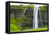 Iceland. South. Seljalandsfoss Waterfall-Inger Hogstrom-Framed Stretched Canvas