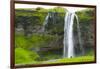 Iceland. South. Seljalandsfoss Waterfall-Inger Hogstrom-Framed Photographic Print