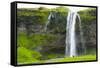 Iceland. South. Seljalandsfoss Waterfall-Inger Hogstrom-Framed Stretched Canvas