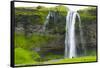 Iceland. South. Seljalandsfoss Waterfall-Inger Hogstrom-Framed Stretched Canvas