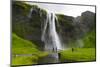 Iceland. South. Seljalandsfoss Waterfall-Inger Hogstrom-Mounted Photographic Print