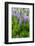 Iceland. South. Vik I Myrdal. Lupines-Inger Hogstrom-Framed Photographic Print