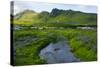 Iceland. South. Vik I Myrdal. Stream Running Down to the Beach-Inger Hogstrom-Stretched Canvas