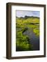 Iceland. South. Vik I Myrdal. Stream Running Down to the Beach-Inger Hogstrom-Framed Photographic Print