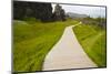 Iceland. Thingvellir. Boardwalk Throughrift in Volcanic Rock-Inger Hogstrom-Mounted Photographic Print