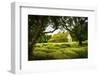 Iceland, turf-roofed Hof Church and surrounding grave mounds.-Mark Williford-Framed Photographic Print