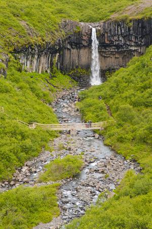 https://imgc.allpostersimages.com/img/posters/iceland-vatnajokull-np-skaftafell-waterfall-and-columnar-basalt_u-L-PRPUGP0.jpg?artPerspective=n