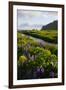 Iceland. Vik I Myrdal. Stream Running Through Field of Wildflowers-Inger Hogstrom-Framed Premium Photographic Print