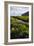 Iceland. Vik I Myrdal. Stream Running Through Field of Wildflowers-Inger Hogstrom-Framed Photographic Print