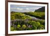 Iceland. Vik I Myrdal. Stream Running Through Field of Wildflowers-Inger Hogstrom-Framed Photographic Print