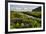 Iceland. Vik I Myrdal. Stream Running Through Field of Wildflowers-Inger Hogstrom-Framed Photographic Print