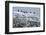 Iceland, West Fjords, Cormorants, Phalacrocorax Carbo,-Bernd Rommelt-Framed Photographic Print