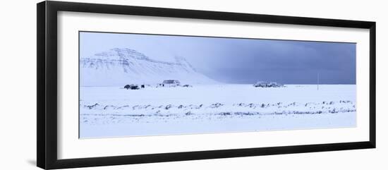 Iceland, West Fjords, Farms in the Bardaströnd Close Hagi-Bernd Rommelt-Framed Photographic Print
