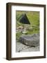 Iceland, West Fjords, Osvor Restored Fisherman's Station, Vintage Stone Wheel in Front, Fishing Hut-Cindy Miller Hopkins-Framed Photographic Print