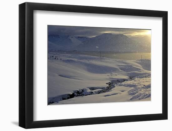 Iceland, West Fjords, Winter Scenery in the Dyrafjördur Close Pingeyri-Bernd Rommelt-Framed Photographic Print