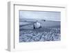 Iceland, West Fjords, Winter Scenery in the Dyrafjördur Close Pingeyri-Bernd Rommelt-Framed Photographic Print