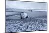 Iceland, West Fjords, Winter Scenery in the Dyrafjördur Close Pingeyri-Bernd Rommelt-Mounted Photographic Print