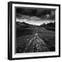 Iceland-Maciej Duczynski-Framed Premium Photographic Print