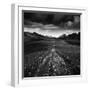 Iceland-Maciej Duczynski-Framed Premium Photographic Print