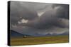 Icelandic Barn-Everlook Photography-Stretched Canvas