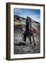 Icelandic Black Stallion, Iceland-null-Framed Photographic Print