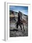 Icelandic Black Stallion, Iceland-null-Framed Photographic Print