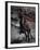 Icelandic Black Stallion, Iceland-null-Framed Photographic Print