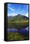 Icelandic fjiord landscape Laxardalsfjord-Charles Bowman-Framed Stretched Canvas