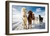 Icelandic Hair Style-Mike Leske-Framed Premium Photographic Print