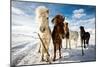 Icelandic Hair Style-Mike Leske-Mounted Premium Photographic Print