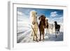 Icelandic Hair Style-Mike Leske-Framed Photographic Print