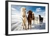 Icelandic Hair Style-Mike Leske-Framed Photographic Print