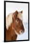 Icelandic Horse Near Lake Myvatn with Winter Coat, Iceland-Martin Zwick-Framed Photographic Print