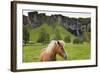 Icelandic Horse Near Waterfall-Paul Souders-Framed Photographic Print