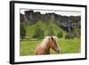 Icelandic Horse Near Waterfall-Paul Souders-Framed Photographic Print