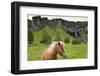 Icelandic Horse Near Waterfall-Paul Souders-Framed Photographic Print