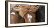 Icelandic Horse with Typical Winter Coat, Iceland-Martin Zwick-Framed Photographic Print