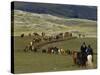 Icelandic Horses and Riders, Riding Near Landmannalaugar, Iceland-Inaki Relanzon-Stretched Canvas