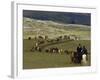 Icelandic Horses and Riders, Riding Near Landmannalaugar, Iceland-Inaki Relanzon-Framed Photographic Print