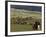 Icelandic Horses and Riders, Riding Near Landmannalaugar, Iceland-Inaki Relanzon-Framed Photographic Print