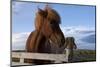 Icelandic Horses, Gullfoss-Paul Souders-Mounted Photographic Print