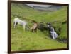 Icelandic Horses I-PHBurchett-Framed Photographic Print