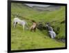 Icelandic Horses I-PHBurchett-Framed Photographic Print