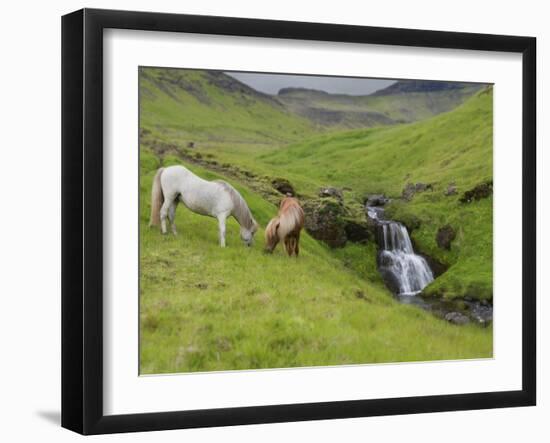 Icelandic Horses I-PHBurchett-Framed Photographic Print