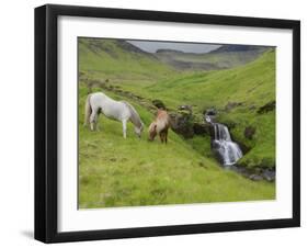 Icelandic Horses I-PHBurchett-Framed Photographic Print