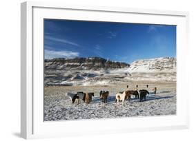 Icelandic Horses, Iceland, Polar Regions-Christian Kober-Framed Photographic Print