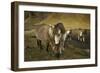 Icelandic horses, Iceland-Art Wolfe-Framed Photographic Print