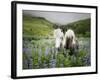 Icelandic Horses III-PHBurchett-Framed Photographic Print